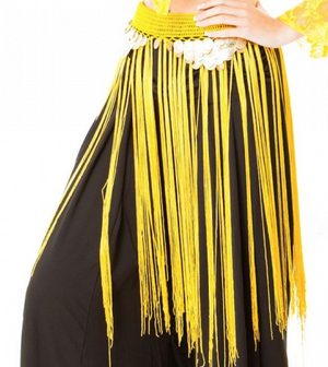 Belly dance costumes gold coins tassel dancing belts hip scarf